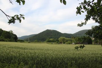 Ansicht des Gotthardsberges von Südwesten aus. Gut erkennbar ist die exponierte Lage über das umliegende Gelände. Foto: Harald Rosmanitz, Partenstein